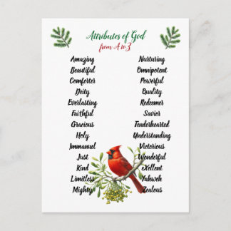Attributes of God Christmas Birds and Branches Postcard