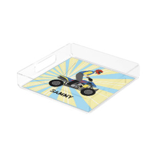 ATV ACRYLIC TRAY