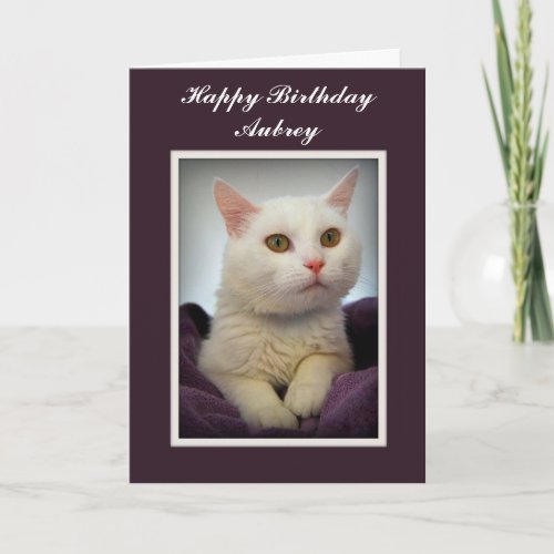 Aubrey Happy Birthday White Cat Card