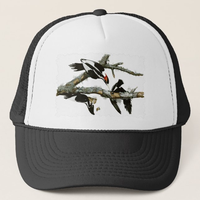 Aububon's Ivory-billed Woodpecker in Ash tree Trucker Hat (Front)
