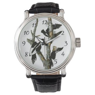 Aububon's Ivory-billed Woodpecker in Ash tree Wrist Watch