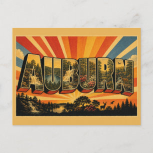 Auburn Alabama Waterfall Forest Vintage Art Postcard
