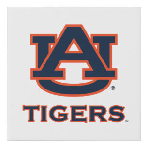 Auburn University Auburn Faux Canvas Print