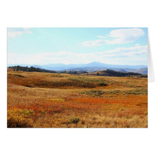 Auburn Yellowstone countryside (Front Horizontal)