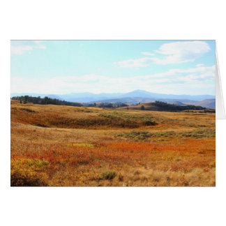 Auburn Yellowstone countryside Cards