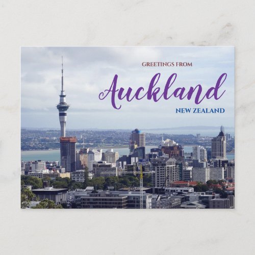 Auckland New Zealand Scenic Postcard