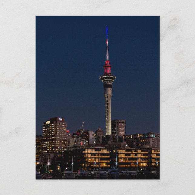 Auckland night light, Sky Tower, Postcard (Front)