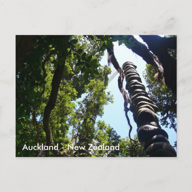 Auckland Post card (Front)
