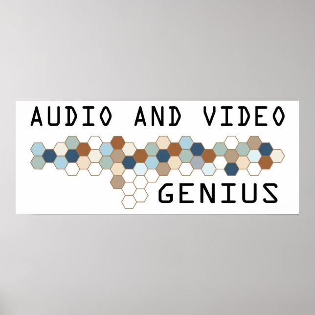 Audio and Video Genius Poster (Front)