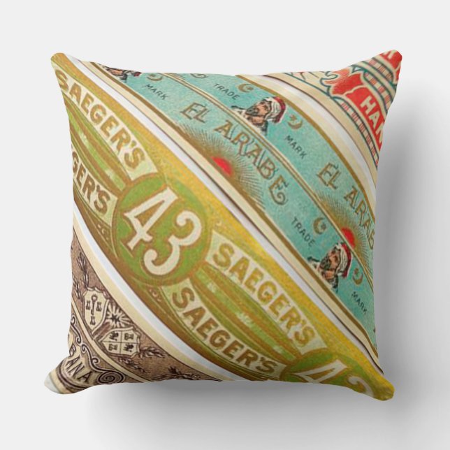 audiophilias.com THE THINGS YOU CAN'T THROW AWAY Throw Pillow (Front)