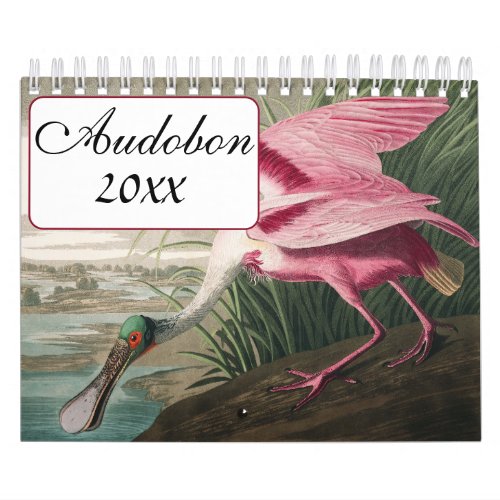 Audobon Bird Calendar