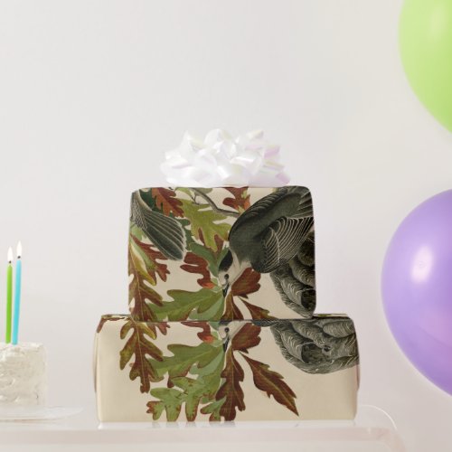 Audobon Canada Jay Wrapping Paper