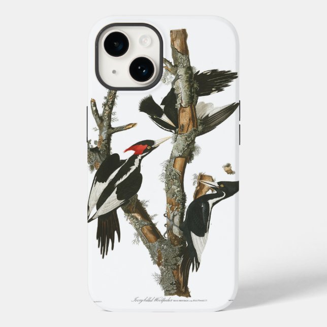 Audobon Extinct Ivory-Billed Woodpecker Case-Mate iPhone Case (Back)