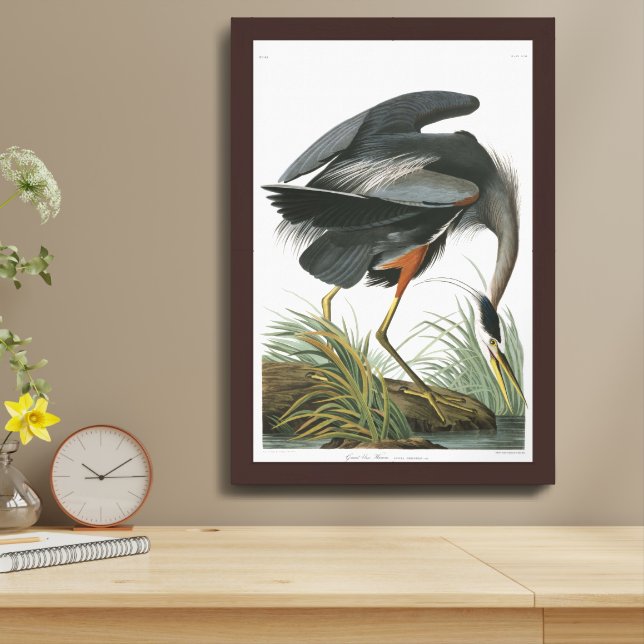 Audobon Great Blue Heron Framed Art (Table Top)