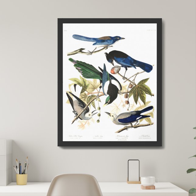 Audobon Jays, Magpies, and Nutcrackers Framed Art (Home Office)