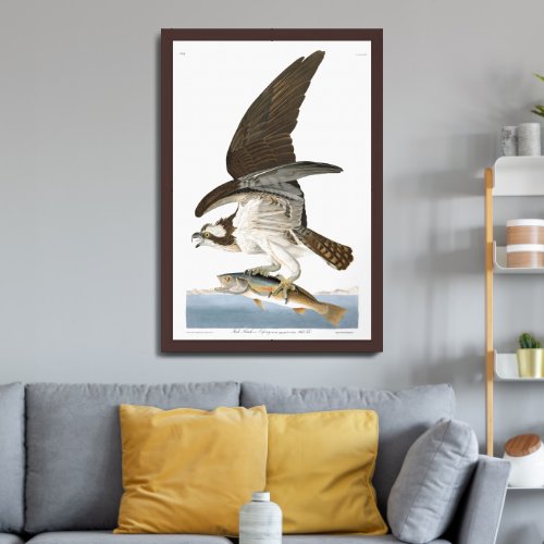 Audobon Osprey Framed Art