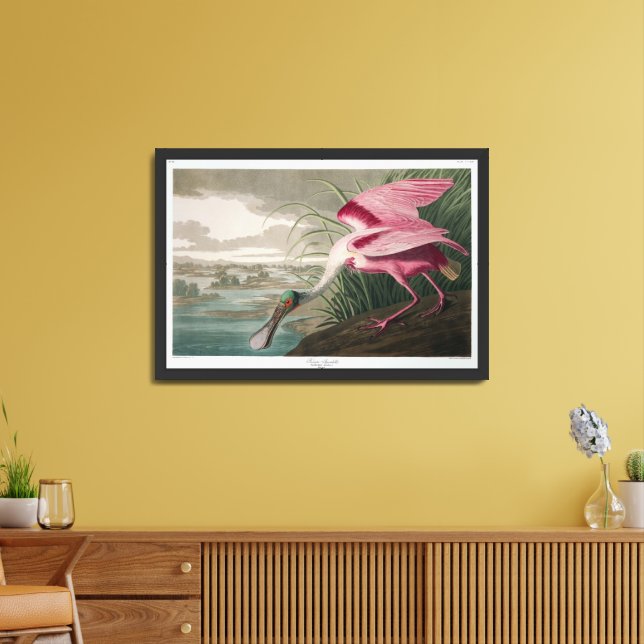 Audobon Roseate Spoonbill Framed Art (Living Room)