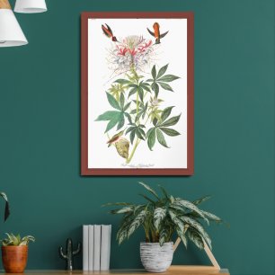 Audobon Rufous Hummingbird Framed Art