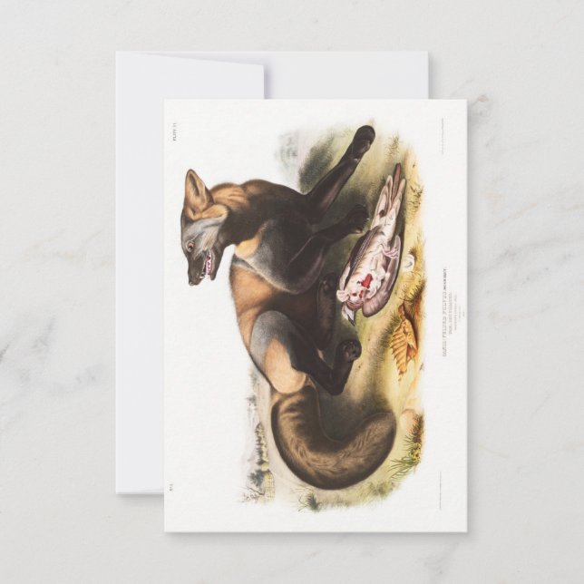 Audubon American Cross-Fox Portrait Invitation (Front)