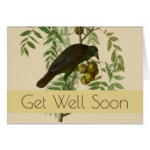 Audubon American Crow Black Bird (Front Horizontal)