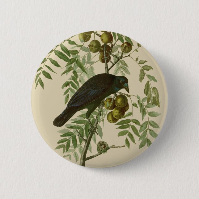 Audubon American Crow Black Bird Button (Front)