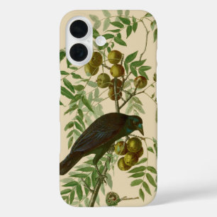 Audubon American Crow Black Bird iPhone 16 Case
