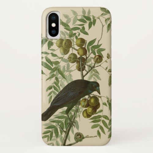 Audubon American Crow Black Bird iPhone X Case