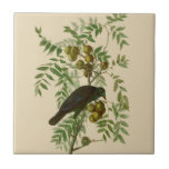 Audubon American Crow Black Bird Ceramic Tile<br><div class="desc">This beautiful crow image is based on the John James Audubon birding illustration of the American Crow. The crow is a black bird from the classic antique Birds of America prints,  published in the early 1800s.</div>