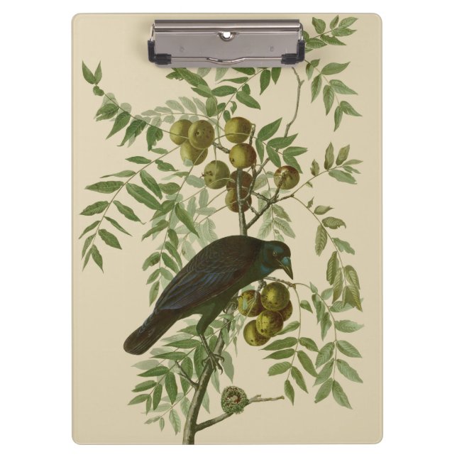 Audubon American Crow Black Bird Clipboard (Front)