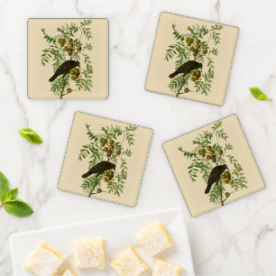 Audubon American Crow Black Bird Coaster Set