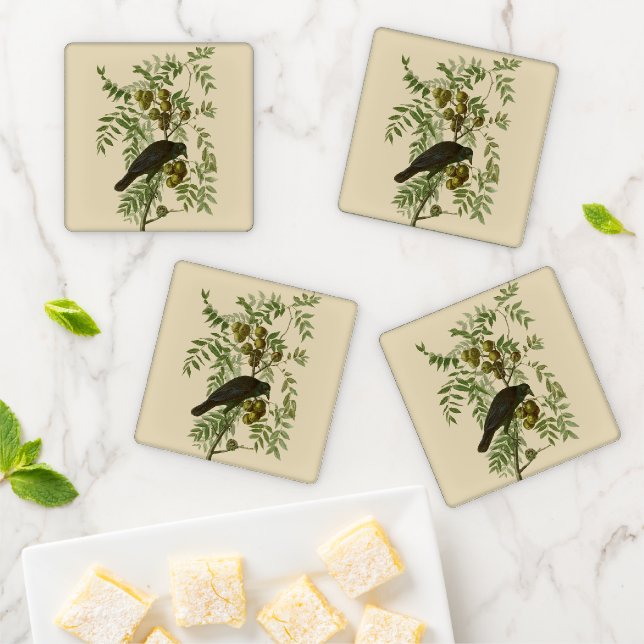 Audubon American Crow Black Bird Coaster Set (In Situ)