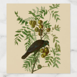 Audubon American Crow Black Bird Envelope Liner