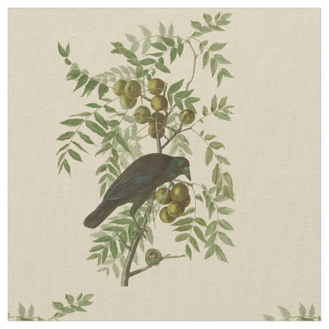 Audubon American Crow Black Bird Fabric (Close Up)