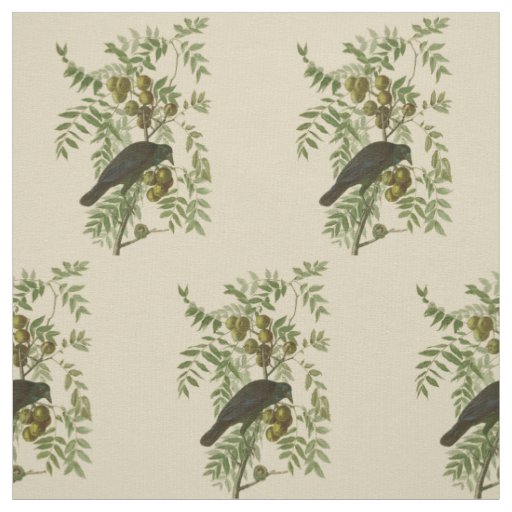 Audubon American Crow Black Bird Fabric