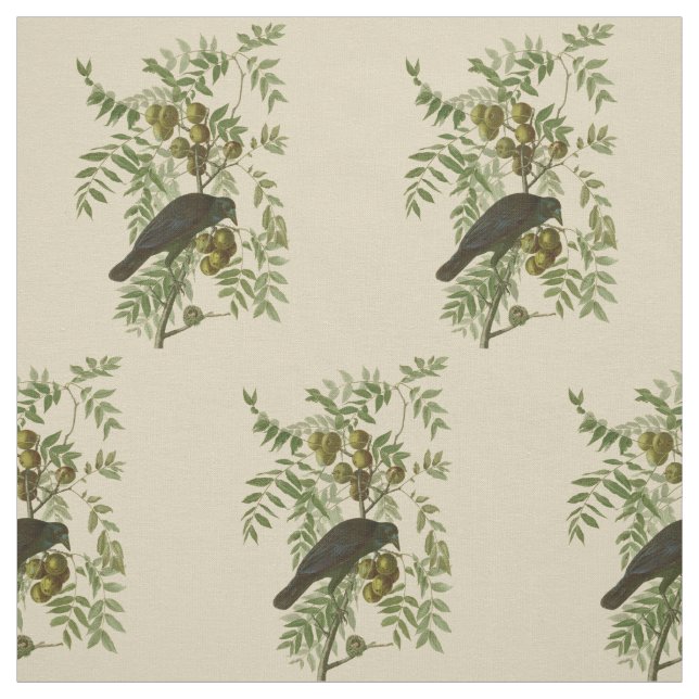 Audubon American Crow Black Bird Fabric (Swatch)