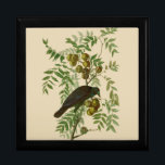 Audubon American Crow Black Bird Gift Box<br><div class="desc">This beautiful crow image is based on the John James Audubon birding illustration of the American Crow. The crow is a black bird from the classic antique Birds of America prints,  published in the early 1800s.</div>