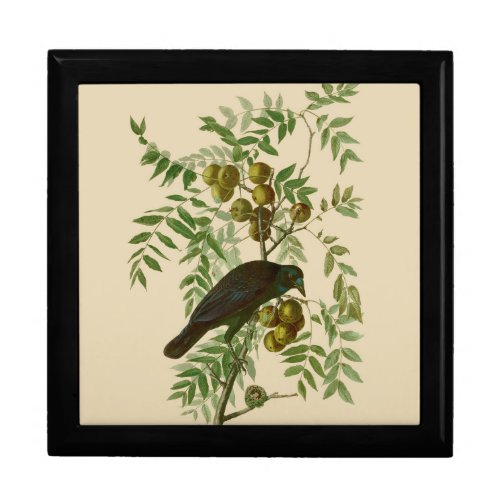 Audubon American Crow Black Bird Gift Box