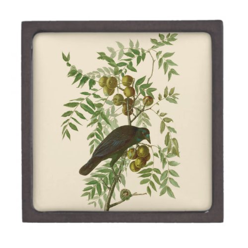 Audubon American Crow Black Bird Gift Box