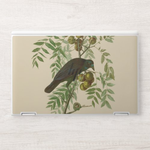 Audubon American Crow Black Bird HP Laptop Skin