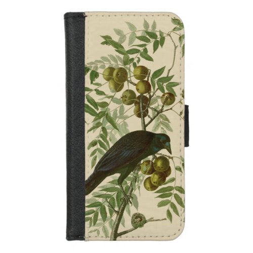 Audubon American Crow Black Bird iPhone 87 Wallet Case