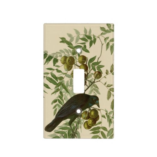 Audubon American Crow Black Bird Light Switch Cover