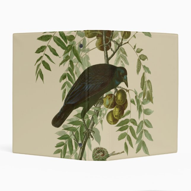 Audubon American Crow Black Bird Mini Binder (Background)