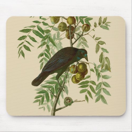 Audubon American Crow Black Bird Mouse Pad