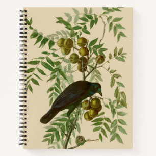 Audubon American Crow Black Bird Notebook
