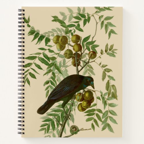 Audubon American Crow Black Bird Notebook