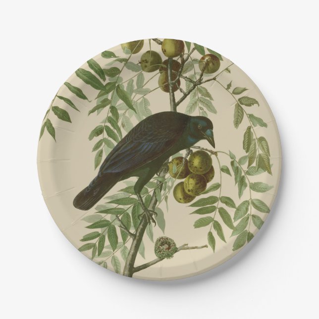 Audubon American Crow Black Bird Paper Plates (Front)