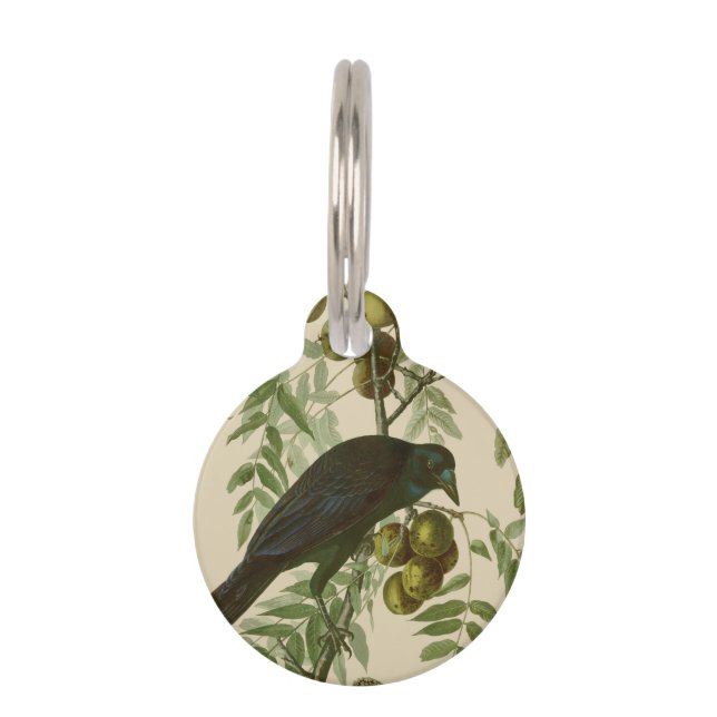 Audubon American Crow Black Bird Pet ID Tag (Front)