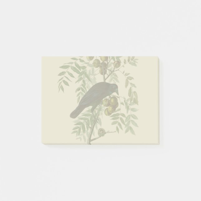 Audubon American Crow Black Bird Post-it Notes (Front)