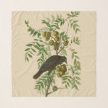 Audubon American Crow Black Bird Scarf<br><div class="desc">This beautiful crow image is based on the John James Audubon birding illustration of the American Crow. The crow is a black bird from the classic antique Birds of America prints,  published in the early 1800s.</div>