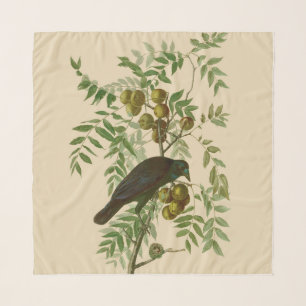 Audubon American Crow Black Bird Scarf